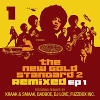 The New Gold Standard 2 Remixed - EP 1 - Fort Knox Five