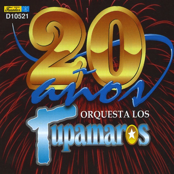 20 Años de Exitos artwork