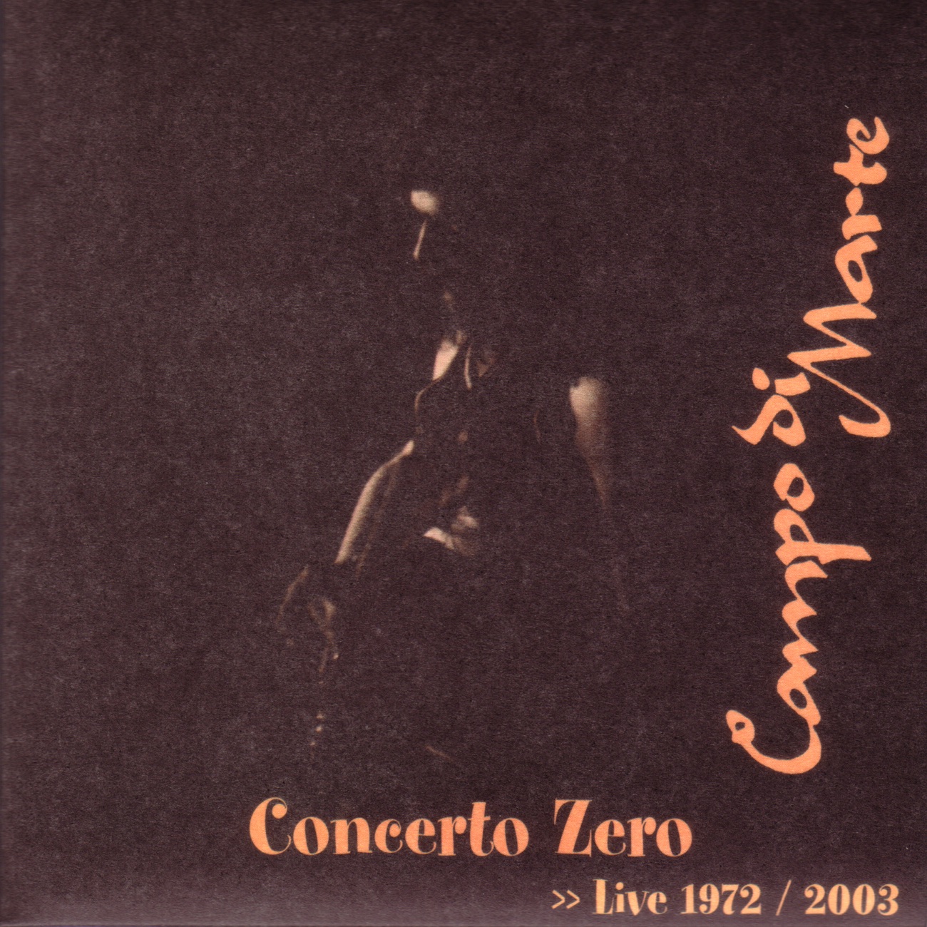 Concerto Zero - Live 1972/2003 (The Space Electronic / La Terrazza)