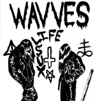 Wavves - I Wanna Meet Dave Grohl