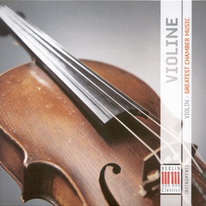String Quartet No. 13 in A Minor, Op. 29 No. 1, D. 804: III. Menuetto - Trio. Allegretto