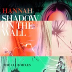 Shadow On the Wall (Bimbo Jones Remix)