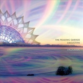 The Peaking Goddess Collective - Hyperspace