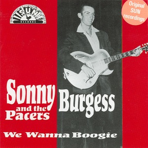 We Wanna Boogie
