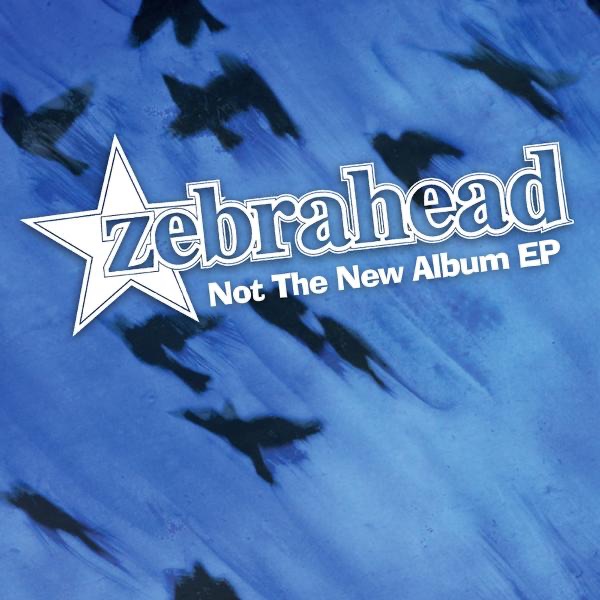 Not the New Album cover