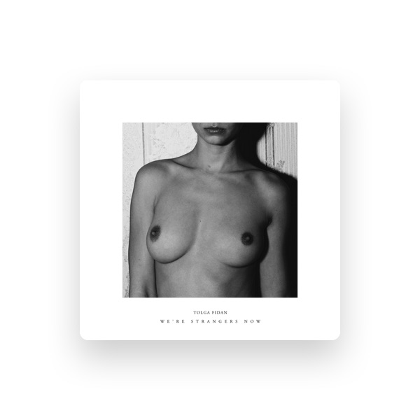 Tolga Fidan's avatar