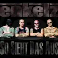 Die Enkelz Rocken Das Haus