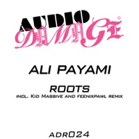 Roots - Single - Ali Payami