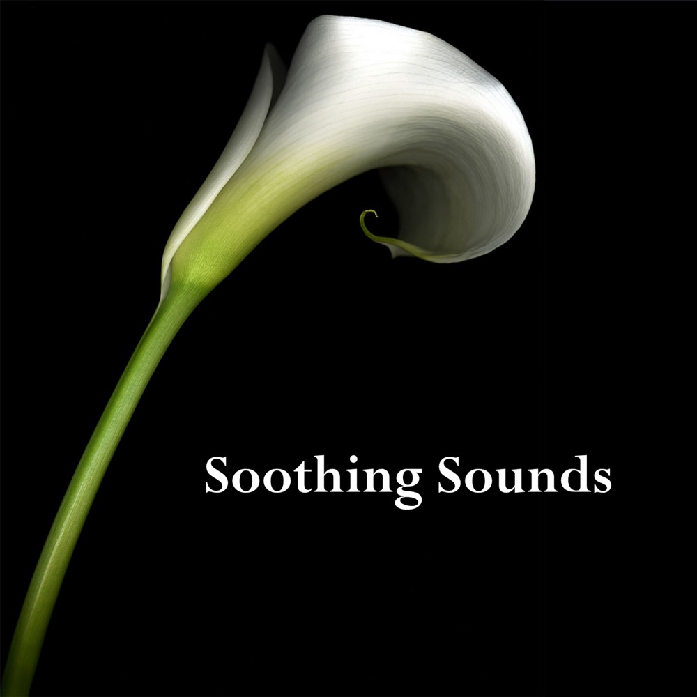 Обложка альбома «Soothing Sounds» — Everness, Robert Preston & Sundip Shar