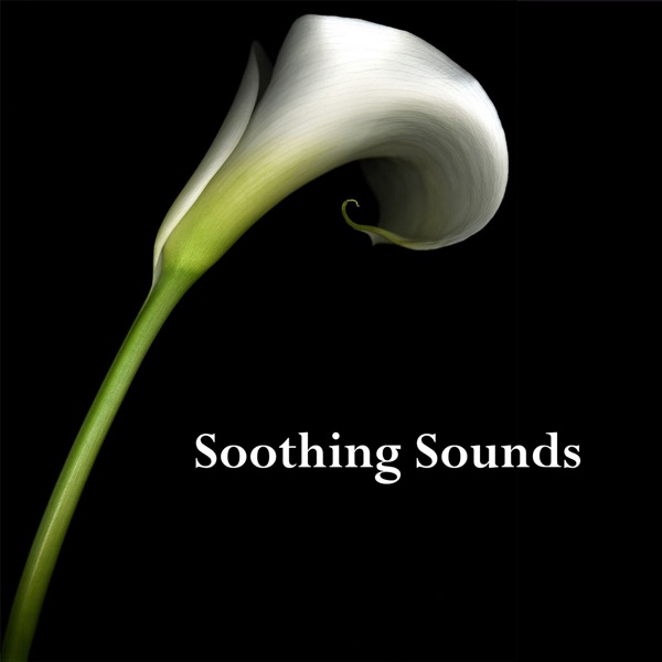 Soothing Sounds artwork