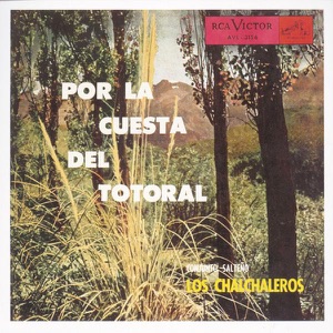 Por la Cuesta del Totoral