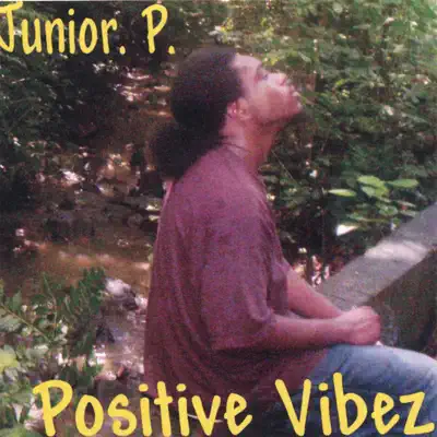 Listen to positive vibez by Junior P