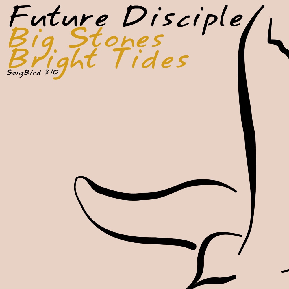 Обложка альбома «Big Stones / Bright Tides - Single» — Future Disciple