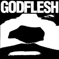 Avalanche Master Song — Godflesh