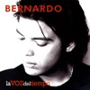Bernardo - Gitana de Arte