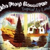 Tropical Ice-Land