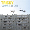 Council Estate (South Rakkas Instrumental) cover art