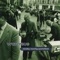 Parts - Waterbug lyrics