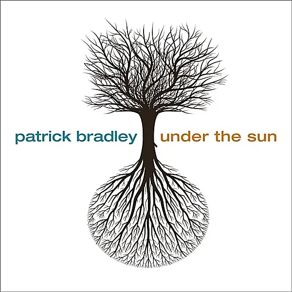 Tears from the Sky (feat. Dwight Sills) — Patrick Bradley