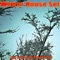 African Zoo Dub - Robby Castellano lyrics