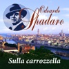 Sulla carrozzella
