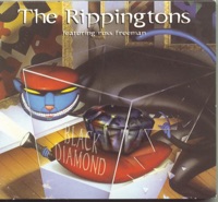 The Rippingtons - In Another Life (feat. Russ Freeman)