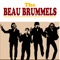 Laugh Laugh - The Beau Brummels lyrics