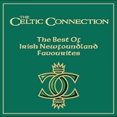 The Celtic Connection - Tyree Love Song