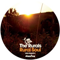 The Rurals - Fallin'