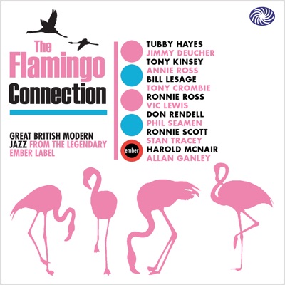 The Flamingo Connection (Part 1)