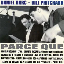 Parce que - Daniel Darc