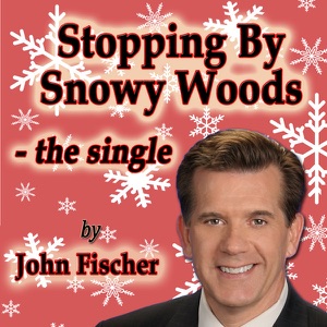 Stopping By Snowy Woods