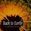 Back to Earth - Silent Sea