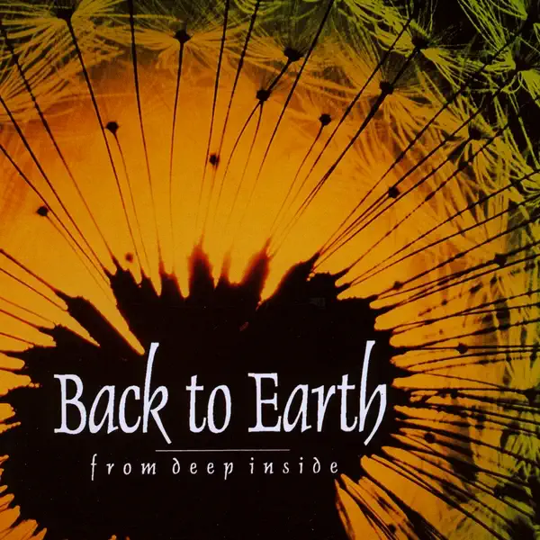 Pour la Cause Des Femmes — Back to Earth