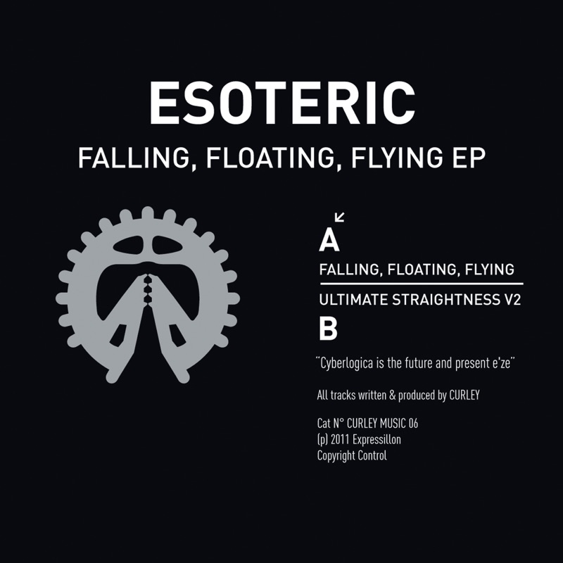 Album art for Falling, Floating, Flying