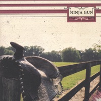 Ninja Gun