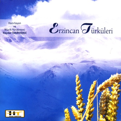 Tanrıdan Diledim