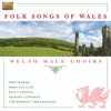 Folk Songs of Wales - Welsh Male Choirs