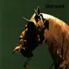 Sturmast - My Prayer Is My Inner Armour