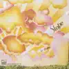 Slope - Fat Freddys Drop - Ray Ray (Slope Remix)