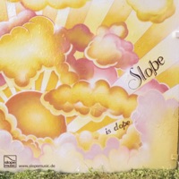 Slope - Fat Freddys Drop - Ray Ray (Slope Remix)