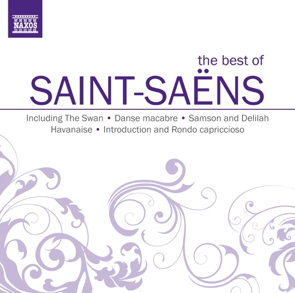 Symphony No. 3 in C Minor, Op. 78, "Organ": II. Allegro Moderato: Presto: Maestoso