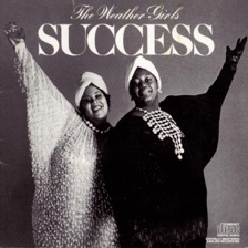 It's Raining Men by The Weather Girls — cover art