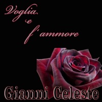 Ti amo ti amo