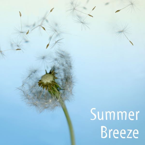Summer Breeze