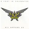 A Foot In Cold Water - (Make Me Do) Anything You Want