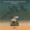 I Saw the Wild Geese Flee