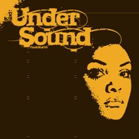 Mondays Lament / Swings and Roundabout - Single - Undersound