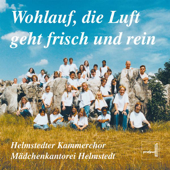 Cover art for Aus grauer Städte Mauern by Andreas Lamken, Helmstedter Kammerchor & Mädchenkantorei Helmstedt