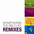 Freaking Out (Klopfgeister Remix)